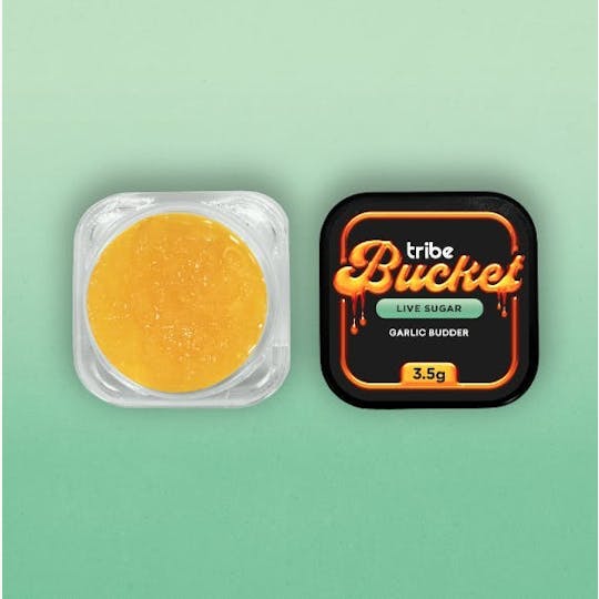 Tribe - Garlic Budder - Live Sugar - Bucket- 3.5g - 1