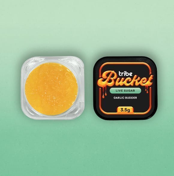 Tribe - Tribe | Garlic Budder | Live Sugar Bucket | 3.5g - 1