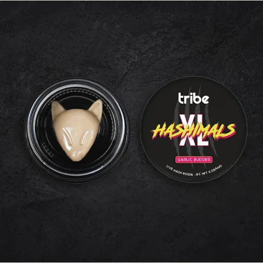 Tribe - Tribe | Garlic Budder | Fox XL Hashimals | 5g - 1