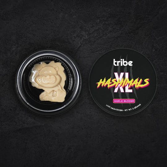 Tribe - Garlic Budder - XL Hashimals - Live Hash Rosin - Lion - 5g - 1