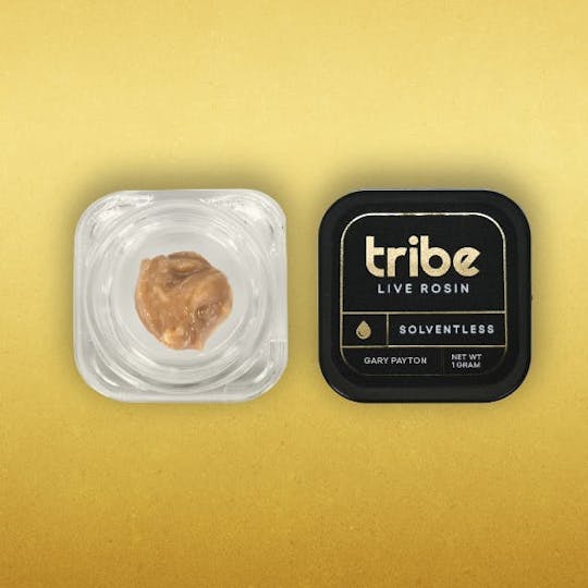 Tribe - Gary Payton - Live Hash Rosin - 1g - 1
