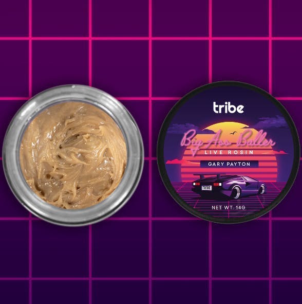 Tribe - Tribe | Gary Payton | Live Hash Rosin Baller | 14g - 1