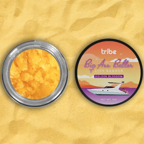 Tribe - Golden Blossom - Live Badder - Big Ass Baller - 14g - 1