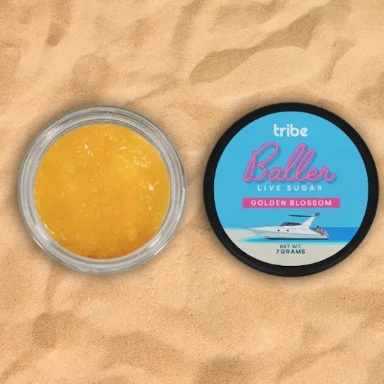 Tribe - Tribe | Golden Blossom | Live Sugar Baller | 7g - 1
