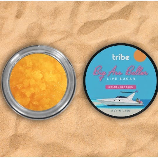 Tribe - Golden Blossom - Live Sugar - Big Ass Baller - 14g - 1