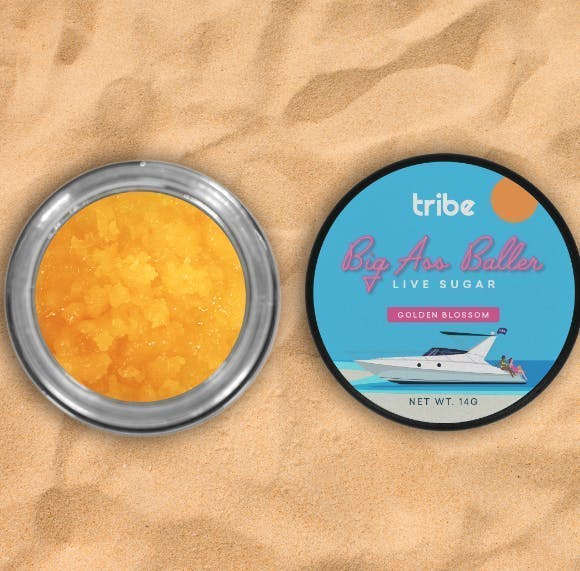 Tribe - Tribe | Big Ass Baller | Golden Blossom | Live Sugar | 14g - 1