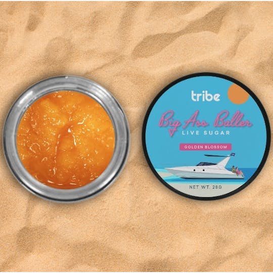 Tribe - Golden Blossom - Live Sugar - Big Ass Baller - 28g - 1