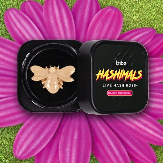 Tribe - Grapes and Cream - Hashimals - Live Hash Rosin - Bumble Bee - 1g - 1
