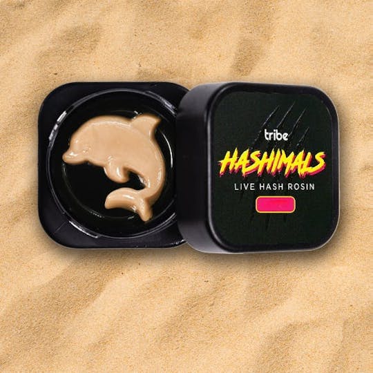 Tribe - Grapes and Cream - Hashimals - Live Hash Rosin - Dolphin - 2g - 1