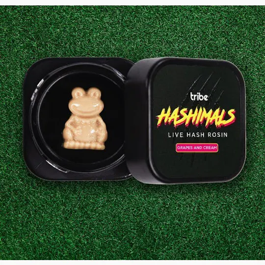 Tribe - Tribe | Grapes & Cream | Frog Hashimals | 1g - 1
