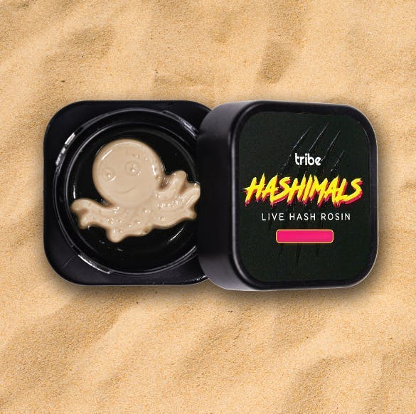 Tribe - Tribe | Grapes & Cream | Octopus Hashimals | 2g - 1