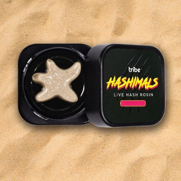 Tribe - Tribe | Grapes & Cream | Starfish Hashimals | 2g - 1