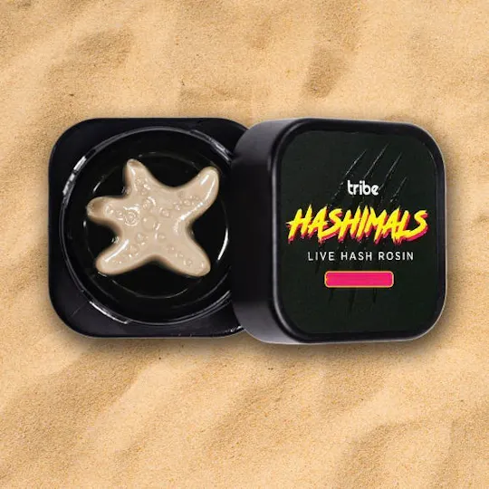 Tribe - Tribe | Grapes & Cream | Starfish Hashimals | 2g - 1
