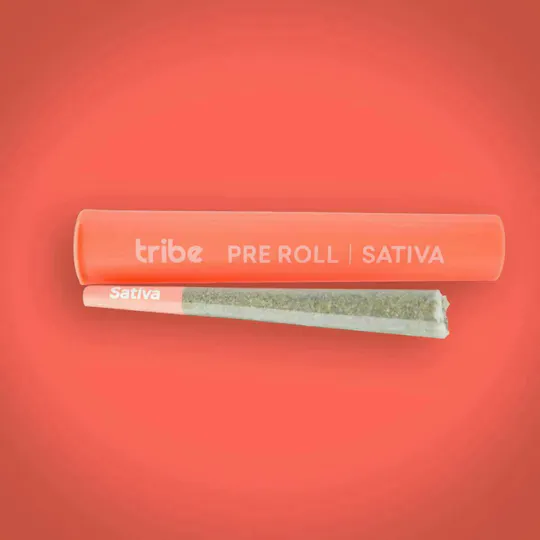 Tribe - Tribe | Green Juice | Joint | 1g - 1