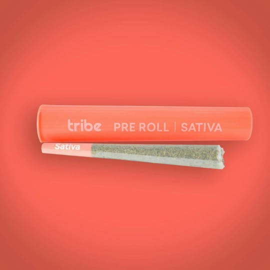 Tribe - Guava Snow Cone - Sativa - Flower Preroll - 1g - 1