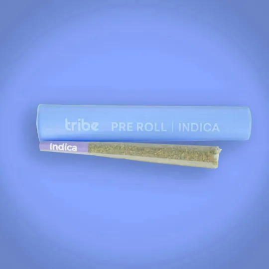 Tribe - Tribe | Gushers x High Octane | Joint | 1g - 1