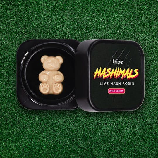 Tribe - Omni-Chron - Hashimals - Live Hash Rosin - Bear - 1.5g - 1