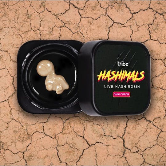 Tribe - Omni-Chron - Hashimals - Live Hash Rosin - Brontosaurus - 0.5g - 1