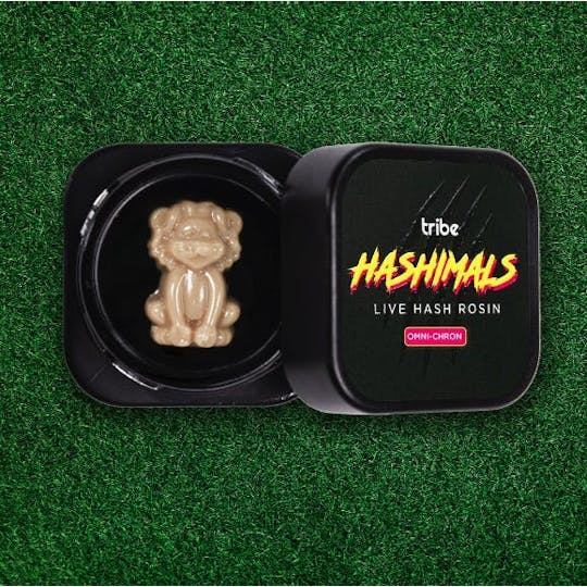 Tribe - Omni-Chron - Hashimals - Live Hash Rosin - Lion - 1.5g - 1