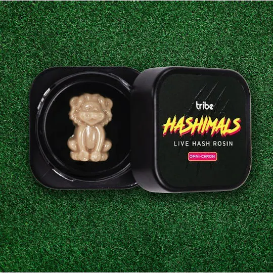 Tribe - Tribe | Omni-Chron | Lion Hashimals | 1.5g - 1
