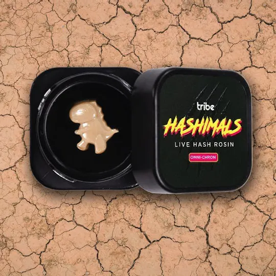 Tribe - Tribe | Omni-Chron | T-Rex Hashimals | .5g - 1