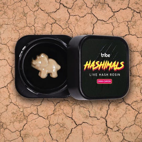 Tribe - Omni-Chron - Hashimals - Live Hash Rosin - Triceratops - 0.5g - 1