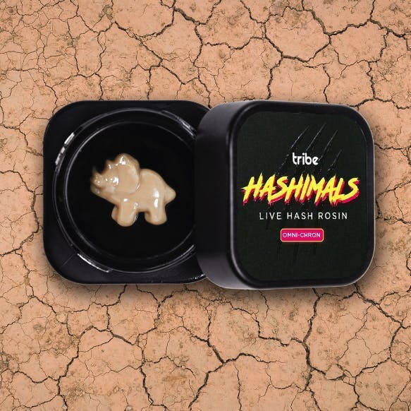 Tribe - Tribe | Omni-Chron | Triceratops Hashimals | .5g - 1