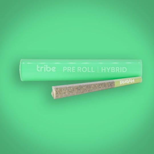 Tribe - Pointy Wife - Hybrid - Flower Pre Roll - 1g - 1