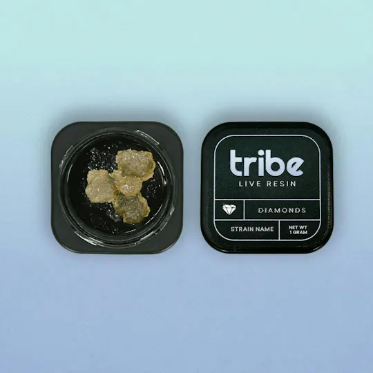 Tribe - Tribe | Rainbow Sherbert #11 x H.O. | Live Diamonds & Terps | 1g - 1