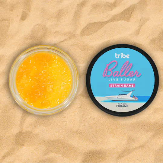 Tribe - Tribe | Rainbow Sherbert #11 x H.O. | Live Sugar Baller | 7g - 1