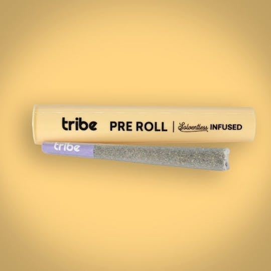 Tribe - Rich Dawg - Bubble Hash Infused Preroll - 1g - 1