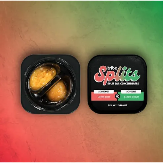 Tribe - Lemon Bliss + Garlic Biscuit | 1g Badder + 1g Sugar | Splits Concentrate - 1