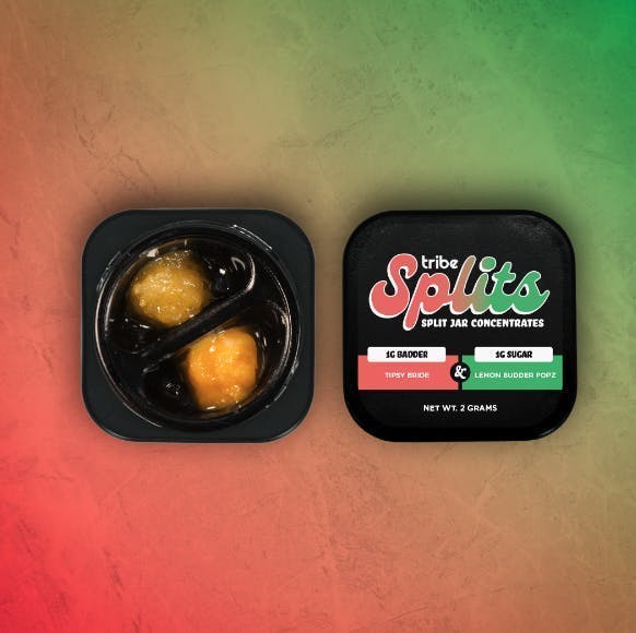 Tribe - Tipsy Bride + Lemon Budder | 1g Badder + 1g Sugar | Splits Concentrate - 1