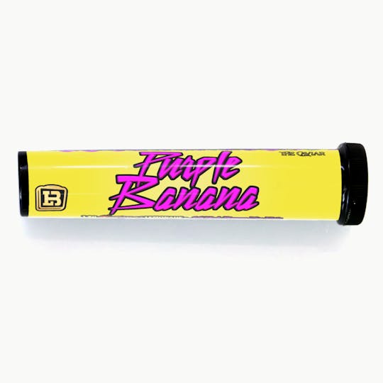 LUNCHBOX - Purple Banana - PreRoll - 1
