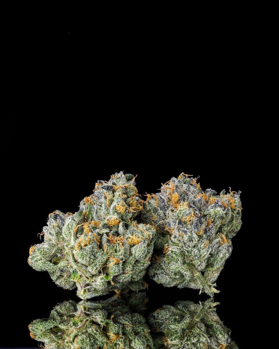 Decibel Gardens - Decibel OG | Indoor Flower | 3.5g - 1