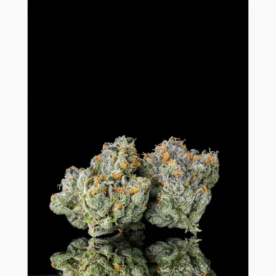 Decibel Gardens - Decibel OG | Indoor Flower | 3.5g - 1