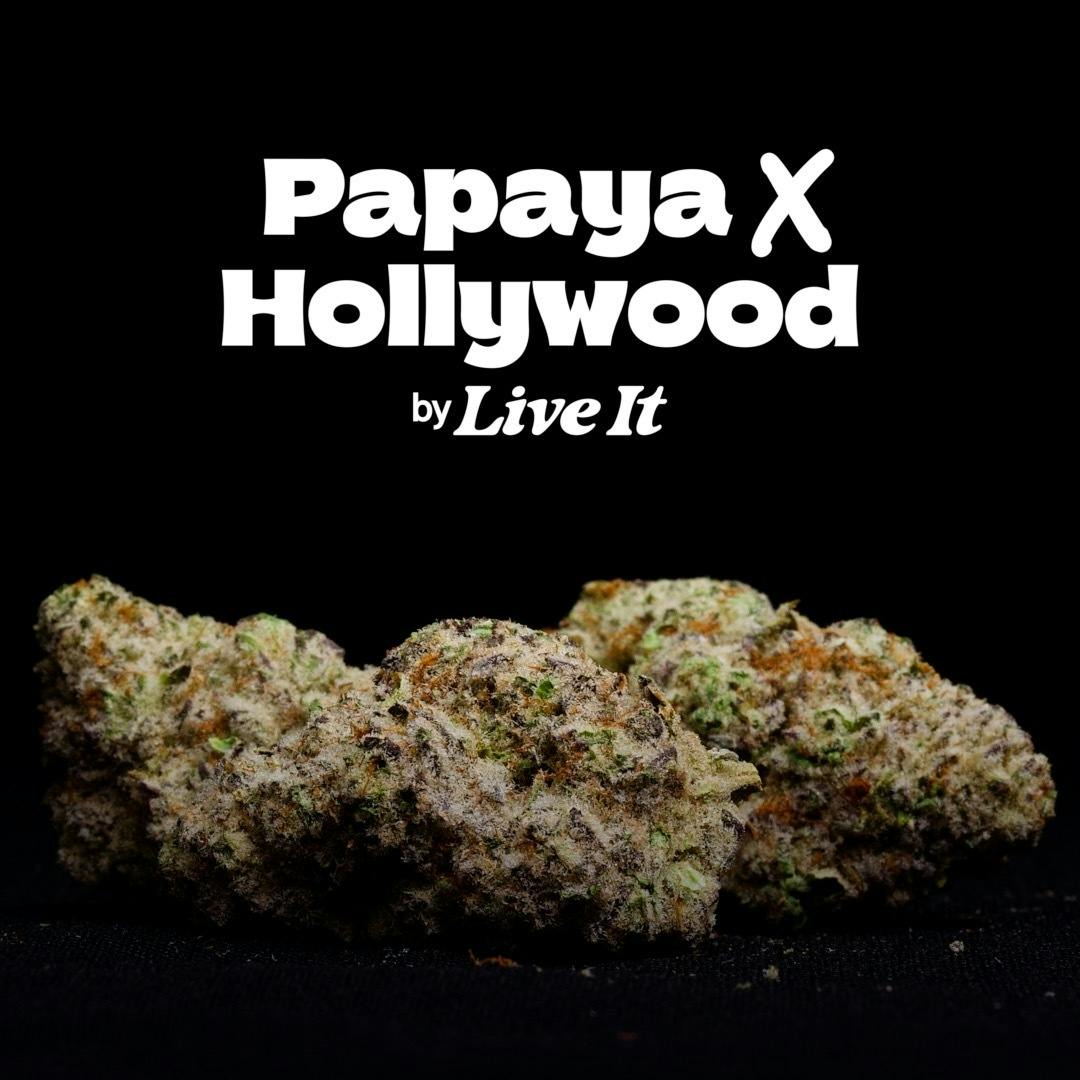 Live It - LIVE IT BUDS | PAPAYA X HOLLYWOOD - 1