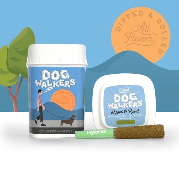 Tribe - Tribe | Banana Boof | Dipped Jaywalker Infused Minis | 0.5g each | 11pk - 1