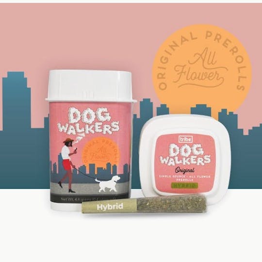 Tribe - Dogwalkers Original - Hybrid - Papaya Fritter - 20x8g - 1