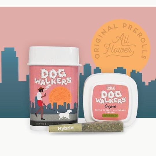 Tribe - Dogwalkers Jar - Hybrid - Papaya Fritter - 50x20g - 1