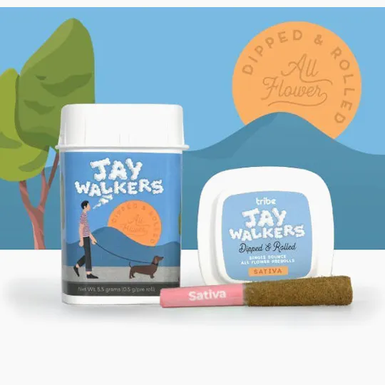 Tribe - Tribe | Columbian Mafia | Dipped Jaywalker Infused Minis | 0.5g each | 11pk - 1