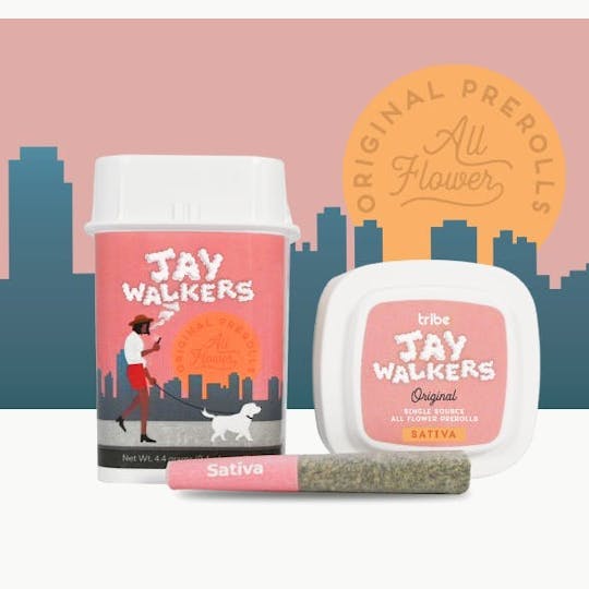 Tribe - Jaywalkers - Original - Sativa - Pink Mintz - 11x4.4g - 1