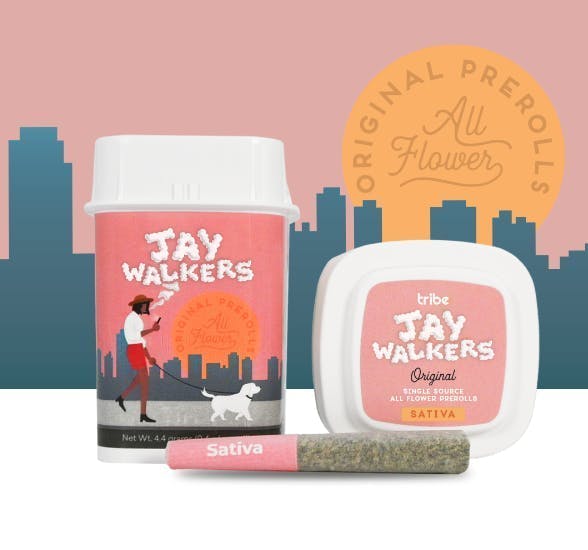 Tribe - Tribe | Pink Mintz | Jaywalkers Minis | 0.4g each | 11pk - 1