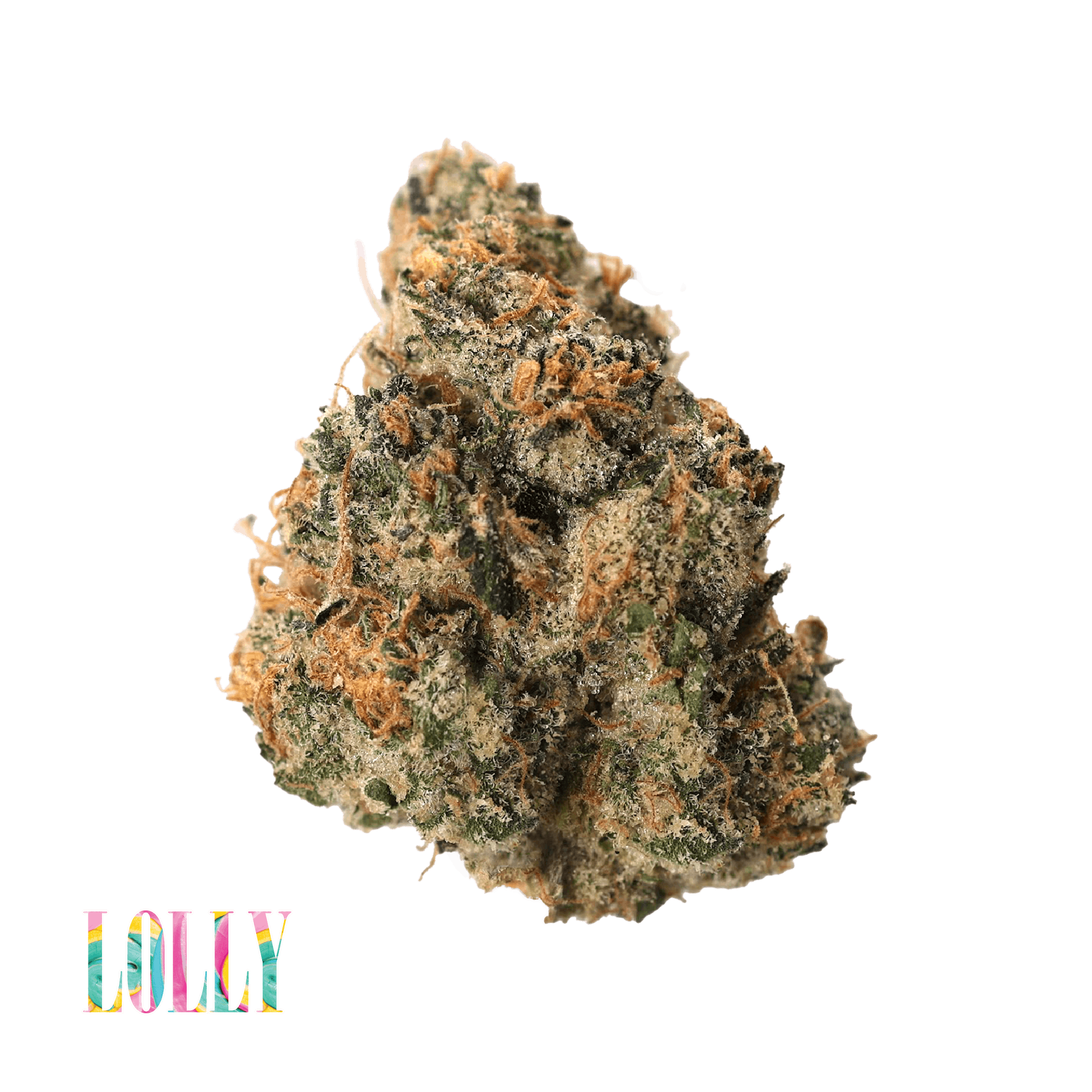 Traditional - Traditional - Lolly 3.5g - 1