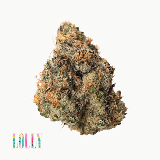 Traditional - Traditional - Lolly 3.5g - 1