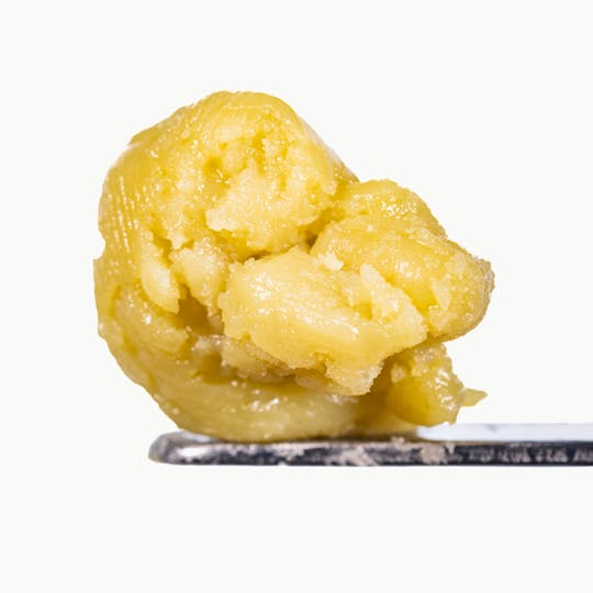 West Coast Cure - Fatso Live Rosin Cold Cure Badder - Tier 3 - 1