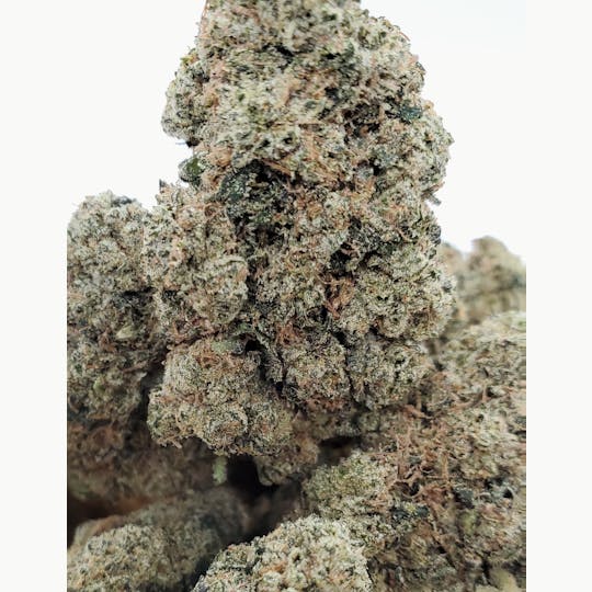 World Class Cannabis - Blood Diamond OG - 1
