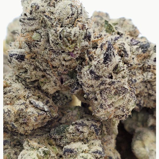 World Class Cannabis - Frosted Lemons - 1
