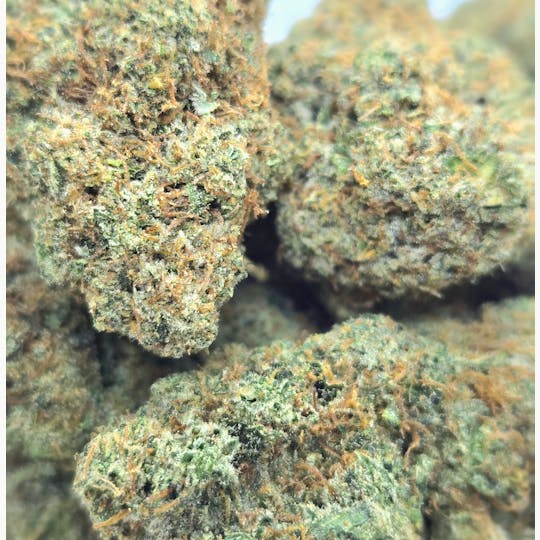World Class Cannabis - Skywalker OG - 1