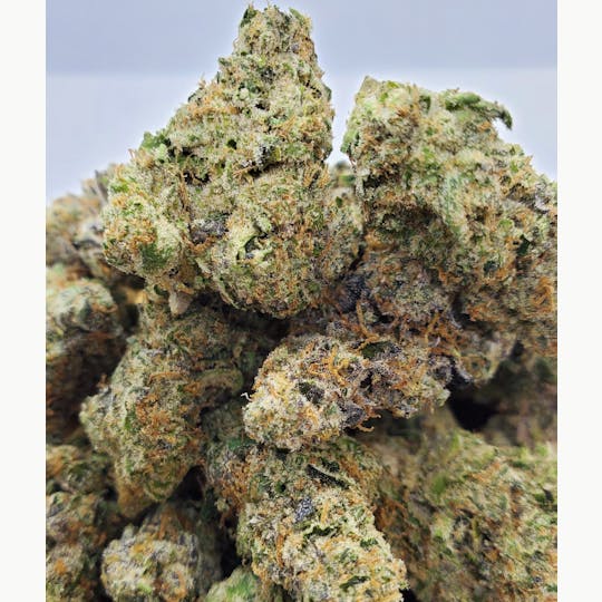 World Class Cannabis - Lemon Snow Leopard - 1